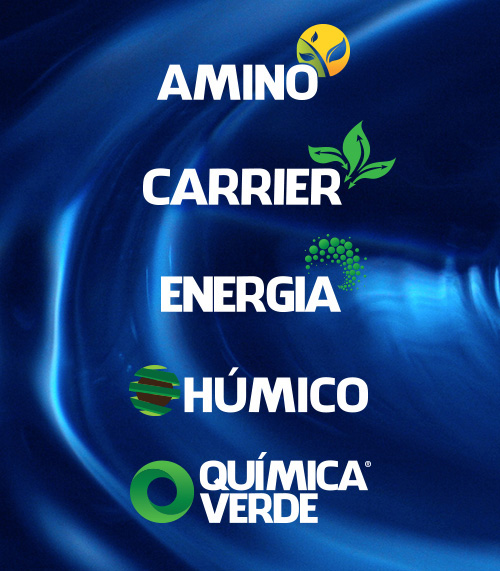 linhas3