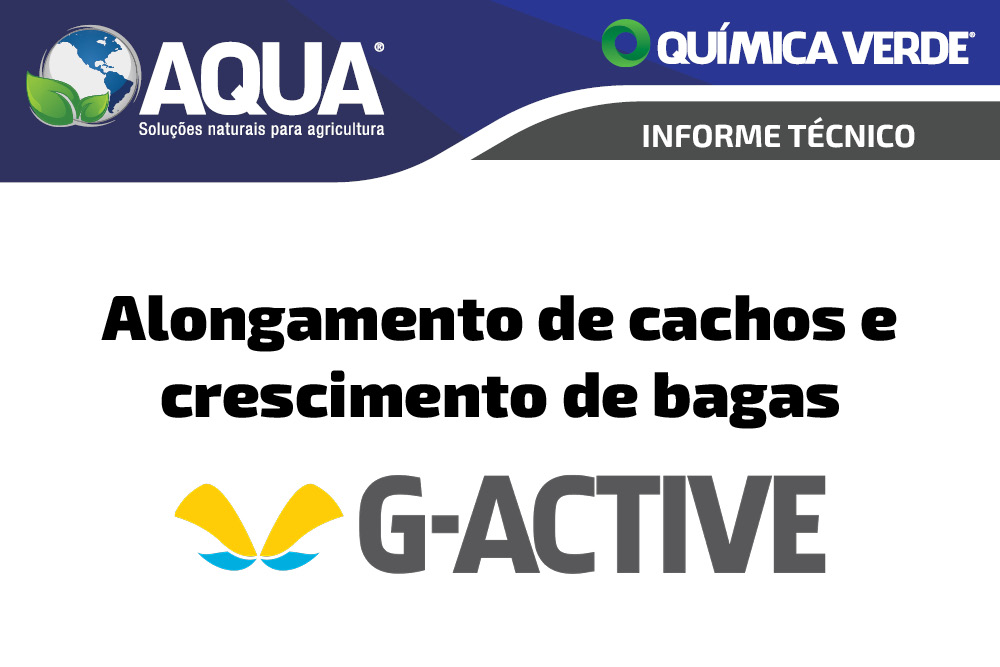 Informe Técnico – Alongamento de cachos e crescimento de bagas com G-Active
